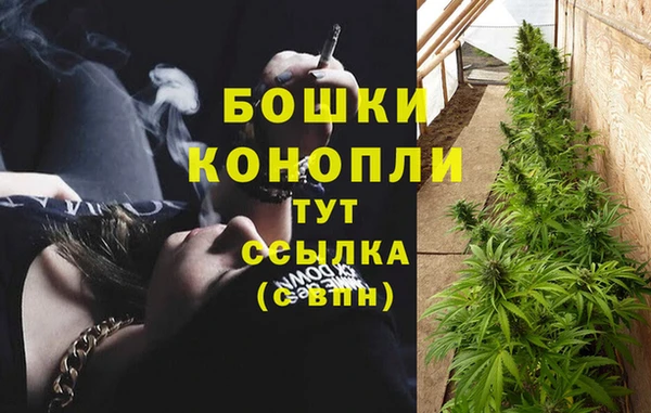хмурый Нея