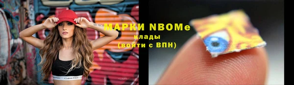 хмурый Нея