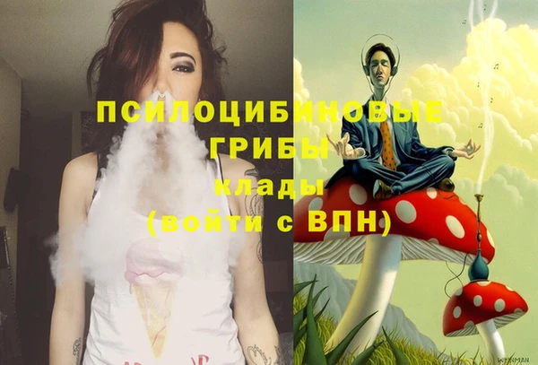 альфа пвп Нефтекумск