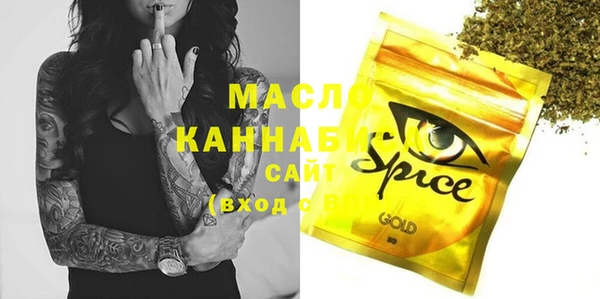 хмурый Нея