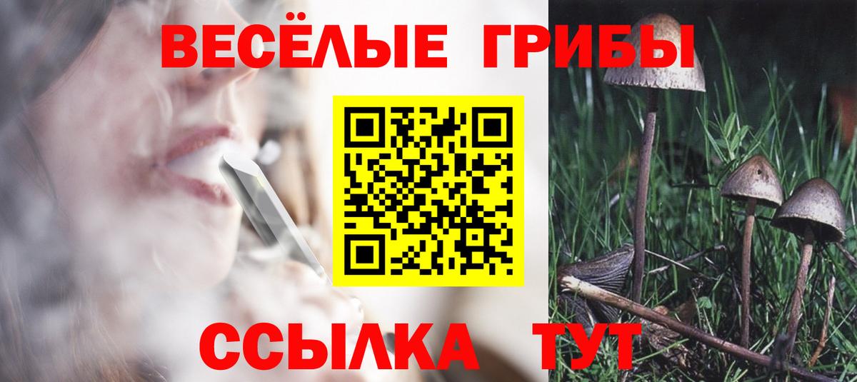 Псилоцибиновые грибы мицелий Октябрьский