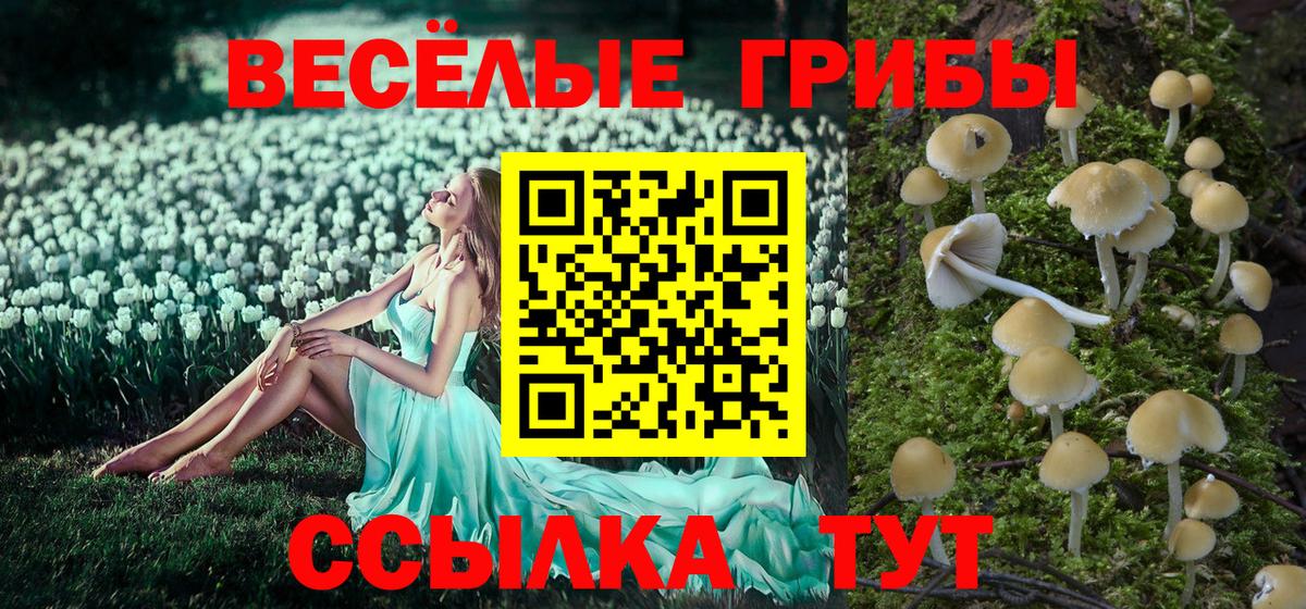 Галлюциногенные грибы прущие грибы  Псилоцибиновые грибы Cubensis  Октябрьский  Вход с VPN 
